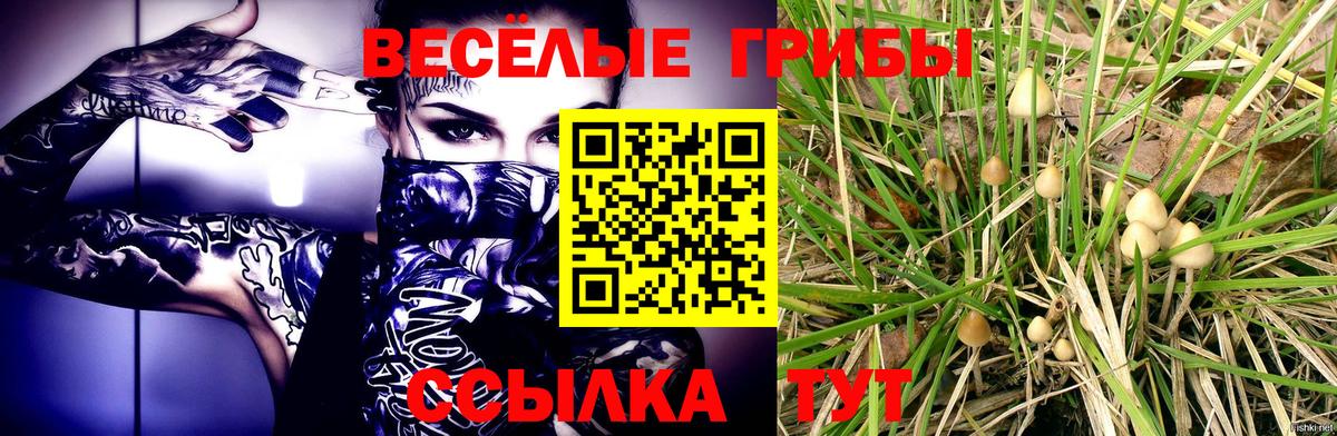 Баксан  Галлюциногенные грибы мицелий  Вход с VPN 