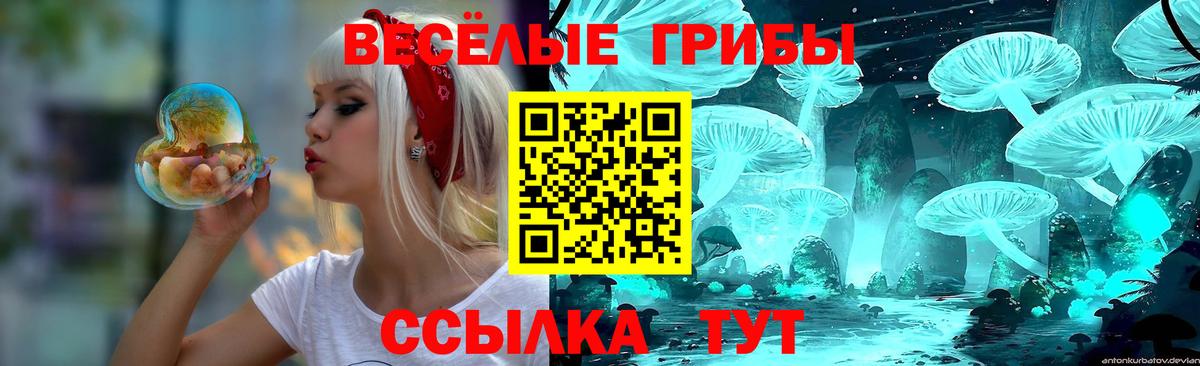 МЕФ Баксан