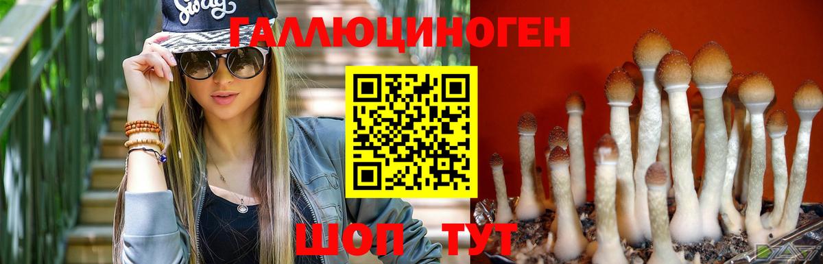 Бошки Шишки  Вход с VPN  АМФЕТАМИН   ГАШИШ  Баксан  Cocaine  A PVP СК кристаллы  МЕФ   LSD-25 